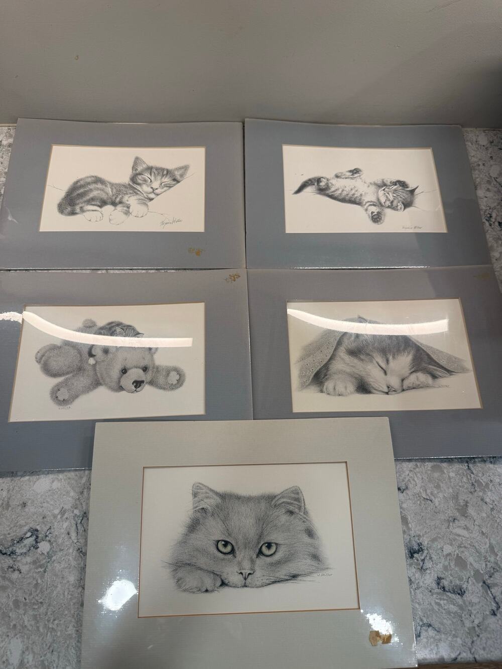 5 Virginia Miller Sketches Various Cats Matted & Sealed